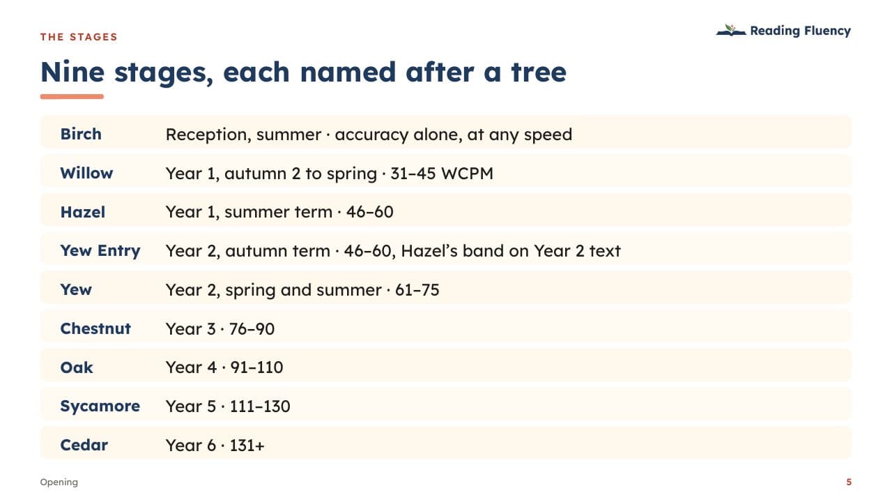 Slide: nine stages, each named after a tree